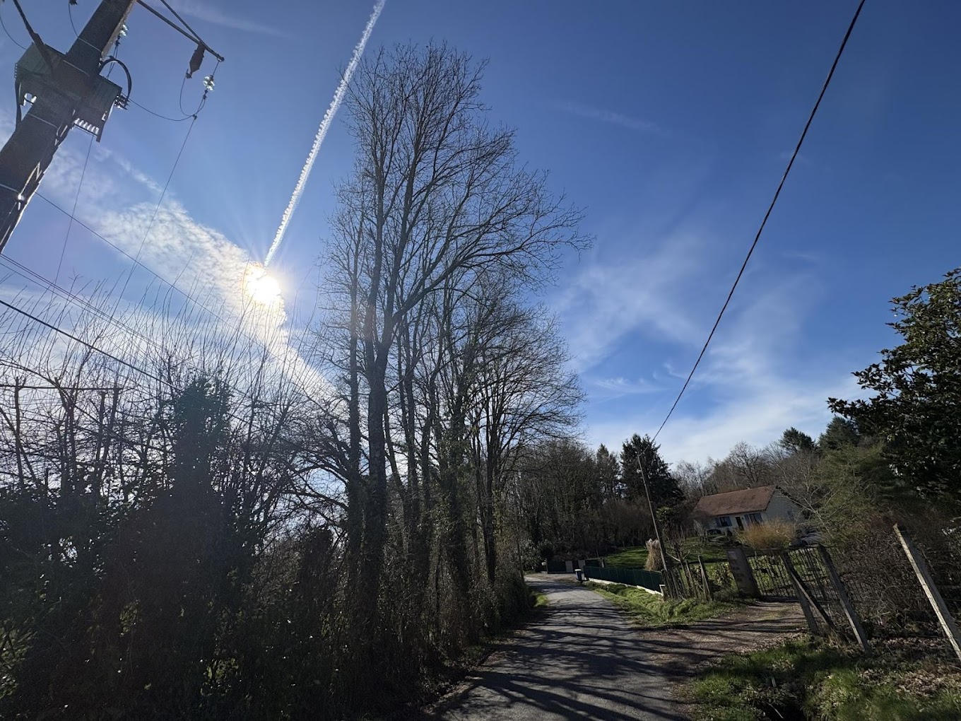élagage près de lignes électriques Saint-Cyr Haute-Vienne